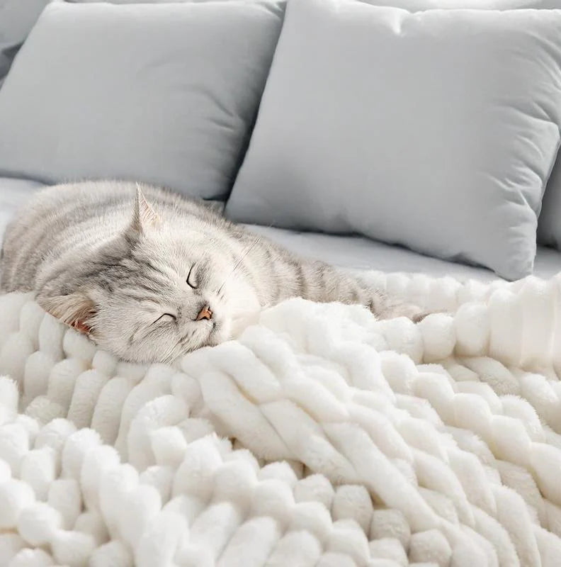 The Fleece Blanket